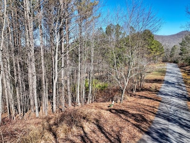 Lot 24 Loftis Mountain Way, Blairsville, GA 30512 - photo 3