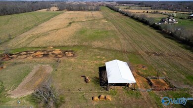 42.8 Acres Ready Section Rd, Toney, AL 35773 - photo 6