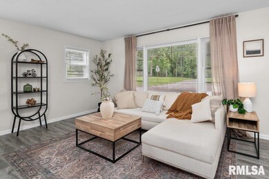 4248 14th St, Rock Island, IL 61201 - photo 6