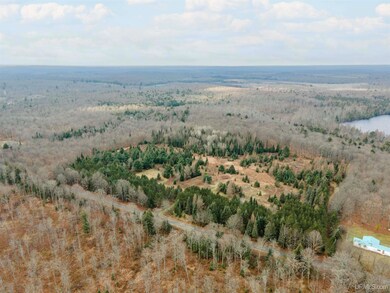 200 Olson Loop, Iron River Township, MI 49935 - photo 7