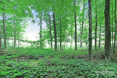 Wooded Privacy2