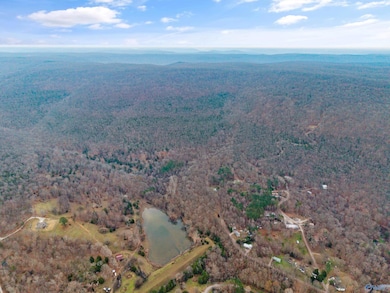 41 ac Kroff Rd, Gurley, AL 35748 - photo 4