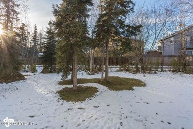 birch your new back yard