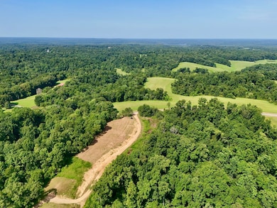 0 Stimson Rd unit 24207833, Bumpus Mills, TN 37028 - photo 7