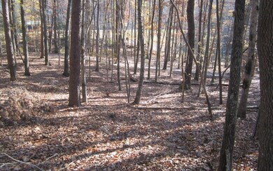 Additional View