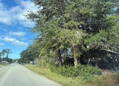 45 Wood Acre Ln, Palm Coast, FL 32164 - photo 3