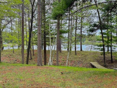 4682 Mohawk Trail, Gladwin, MI 48624 - photo 7