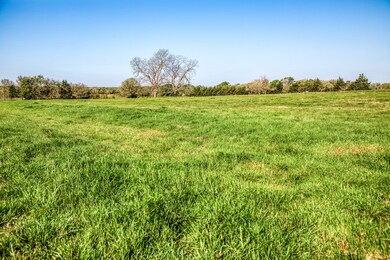 Tracts 10&11 Fieldcrest Ln, Burton, TX 77835 - photo 6