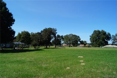 825 E Dakota Ct, Hernando, FL 34442 - photo 4