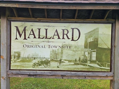 TBD 210th St, Shevlin, MN 56676 - photo 3