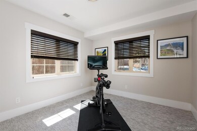 948 S Pearl St unit 101, Denver, CO 80209 - photo 4