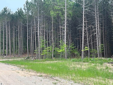 TBD Theron Rd unit B, Traverse City, MI 49685 - photo 2