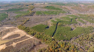 0 Old Highway 18 unit RTC2744753, Stewart, TN 37175 - photo 7