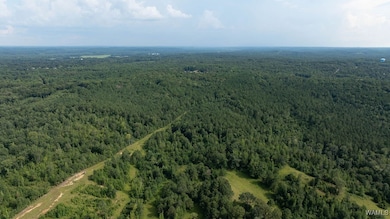 0 Wilkinson Rd, Fayette, AL 35555 - photo 5