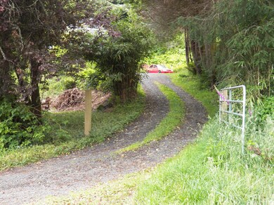Gated Driveway