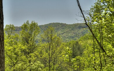 Additional View