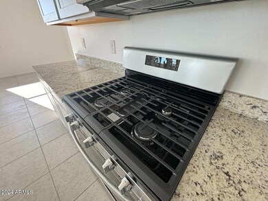 010 Gas Stove