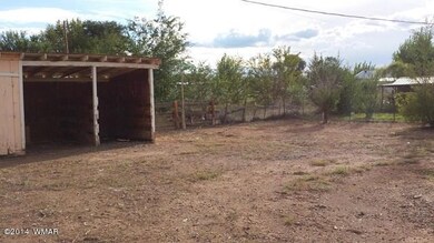 023-243426 Back yard