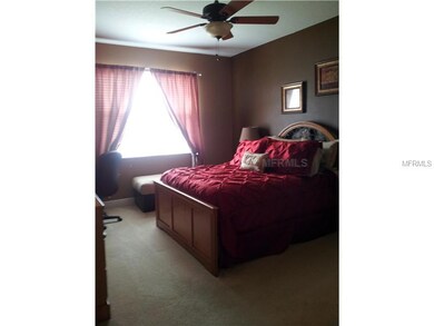 30419 Lipizzan Terrace, Mount Dora, FL 32757 - photo 7