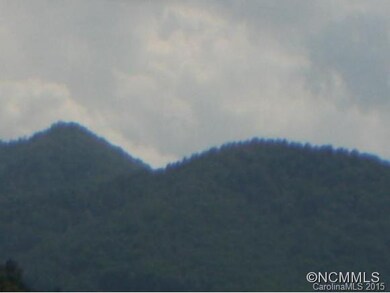 22 Goughes Branch Rd, Leicester, NC 28748 - photo 4