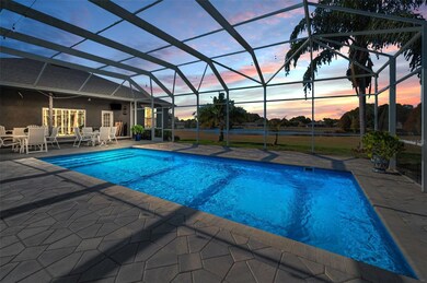 10101 Mizner St, New Port Richey, FL 34655 - photo 6