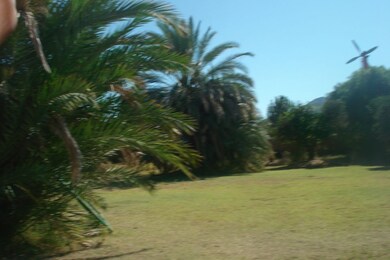 Desert Oasis