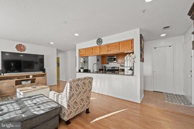 14201 Woolen Oak Ct unit 4, Silver Spring, MD 20906 - photo 3