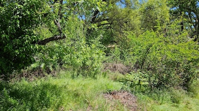 0 Lincoln Aly, Placerville, CA 95667 - photo 2