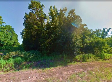 0 Commanche Trail Dr, Pine Harbor, TX 75657 - photo 2