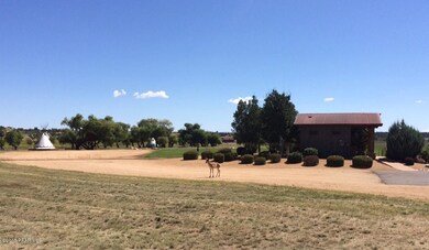 Antelope Crossing
