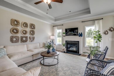 Living room featuring a high end fireplace, a tray