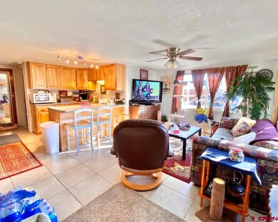 135 W 32nd St, Durango, CO 81301 - photo 2