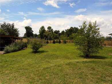 Plenty of flat open back yard!