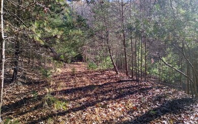 Additional View