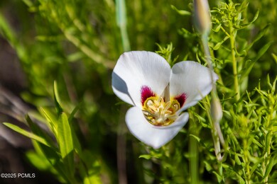 926 S Upland Loop unit 20, Midway, UT 84049 - photo 6