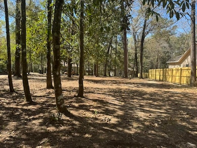 0 Dowling Ave, Walterboro, SC 29488 - photo 4