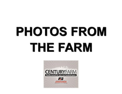 19980 173rd Ave, Sigourney, IA 52591 - photo 3