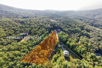 TBD Alex Way, Morganton, GA 30560 - photo 4