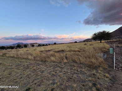 TBD Saddlehorn Cir unit 70, Hereford, AZ 85615 - photo 2