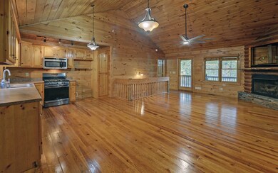 230 Pine Forest Loop, Blue Ridge, GA 30513 - photo 5