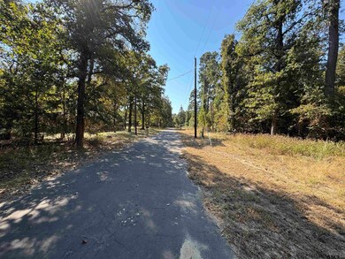 Lot 336 King Bernanrd, Scroggins, TX 75480 - photo 3