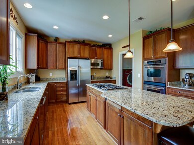 16762 Chestnut Overlook Dr, Purcellville, VA 20132 - photo 4