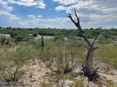 Vistas of LUSH Tanque Verde Valley