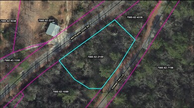 Larger lot county map