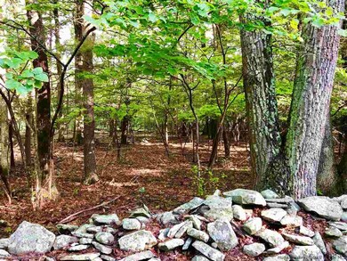 0 Mill Rd unit 20182618, Stone Ridge, NY 12484 - photo 3