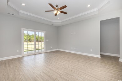 Unfurnished room with light hardwood / wood-style flooring, a tray ceiling, and crown molding