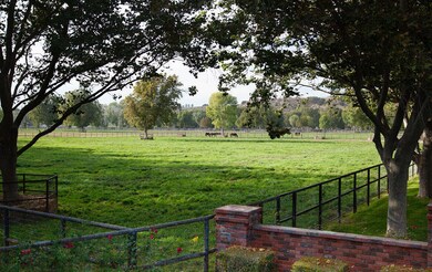 Pastures 2