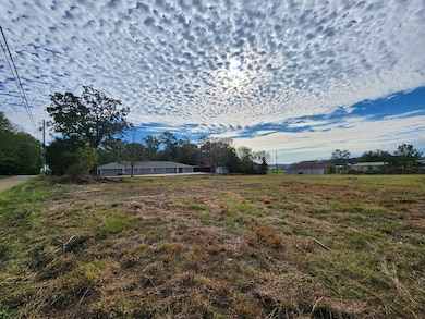 00 Congress St, Brookhaven, MS 39042 - photo 3