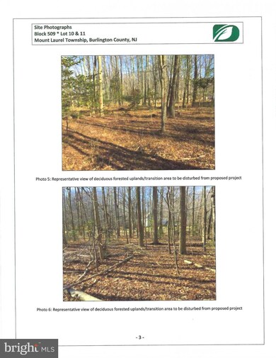 14 Marter Ave, Mount Laurel Township, NJ 08054 - photo 5