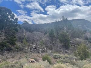 714 Cedar Highlands Dr, Cedar City, UT 84720 - photo 7